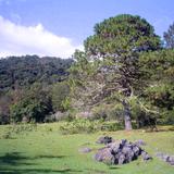 Reserva de la Biósfera El Cielo