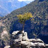 Barrancas del Cobre