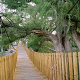 PUENTE COLGANTE NUEVO