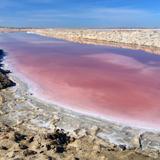 Salinas: Canales de transportación de agua marina