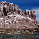 Colonia de Lobos Marinos