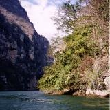 Río Grijalva a su paso por el cañón del sumidero. 2002