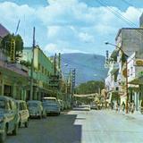 Av. Adolfo Ruíz Cortines (Hoy Bandera Nacional). Iguala, Gro.