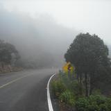 Carretera a Mezquital