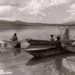 Mariposas en el Lago de Pátzcuaro