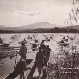 Mariposas en el Lago de Pátzcuaro