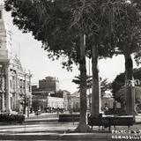 Palacio y Jardín