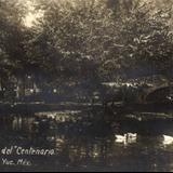 Lago del Parque Centenario