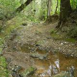 Arroyo de montaña, Presa La Estanzuela.