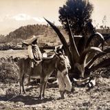 Niños con burro y Volcán Iztaccíhuatl