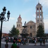 Saltillo