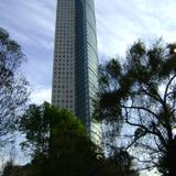 La Torre Mayor, el rascacielos mal alto del país. Enero/2013