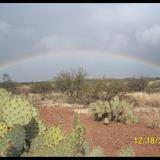 Arcoiris En El Desierto