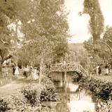 Paseo en el Bosque de Chapultepec