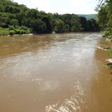 El caudaloso Río Amacuzac desde Los Manantiales. Julio/2013