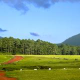 El Llano del Conejo