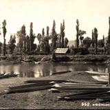 Xochimilco