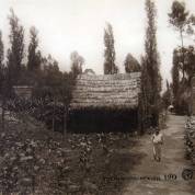 Xochimilco 1930