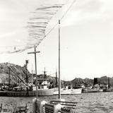 Malecón de Guaymas