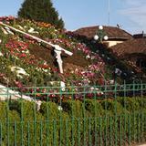 Reloj floral en Zacatlán. Mayo/2014