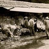 Mercado de Flores