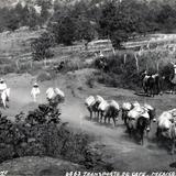 Transporte de mercancías en el interior del país (circa 1920)