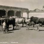 Cerca de Juchitan Una Hacienda