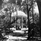 Interior del Jardin de San Marcos