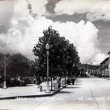 Jardin y calle principal