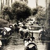 Xochimilco Los Canales