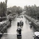 Xochimilco Los Canales