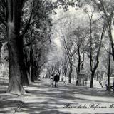 Paseo de la Reforma