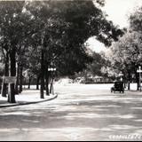 Bosque de Chapultepec