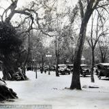 Paseo en Chapultepec