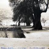 Parque Guadiana Invierno de 1937