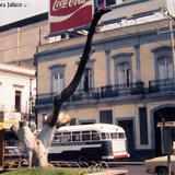 ESCENA CALLEJERA