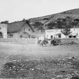 Hacienda Cárdenas (por William Henry Jackson, c. 1888)