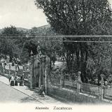 Alameda de Zacatecas