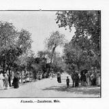 Alameda de Zacatecas