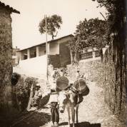 Arriero en Taxco