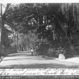 Bosque de Chapultepec