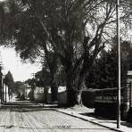 UNA CALLE DE COYOACAN por el fotografo FEDERICK KAHLO