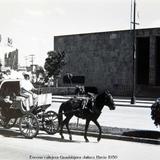 Escena callejera Guadalajara Jalisco