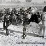 TIPOS MEXICANOS VENDEDORA DE LOZA