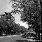 Paseo de la Reforma