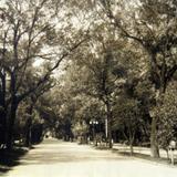 Paseo Bravo (circa 1940)