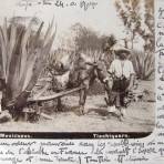 TIPOS MEXICANOS Tlachiquro por el fotografo ABEL BRIQUETE 1900