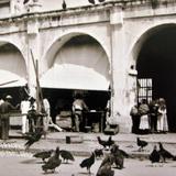 ZOPILOTES EN EL MERCADO Circa 1919