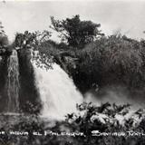 CAIDA DE AGUA DE PALENQUE