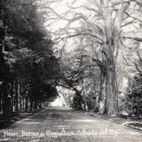 Calzada del Rey, en el Bosque de Chapultepec